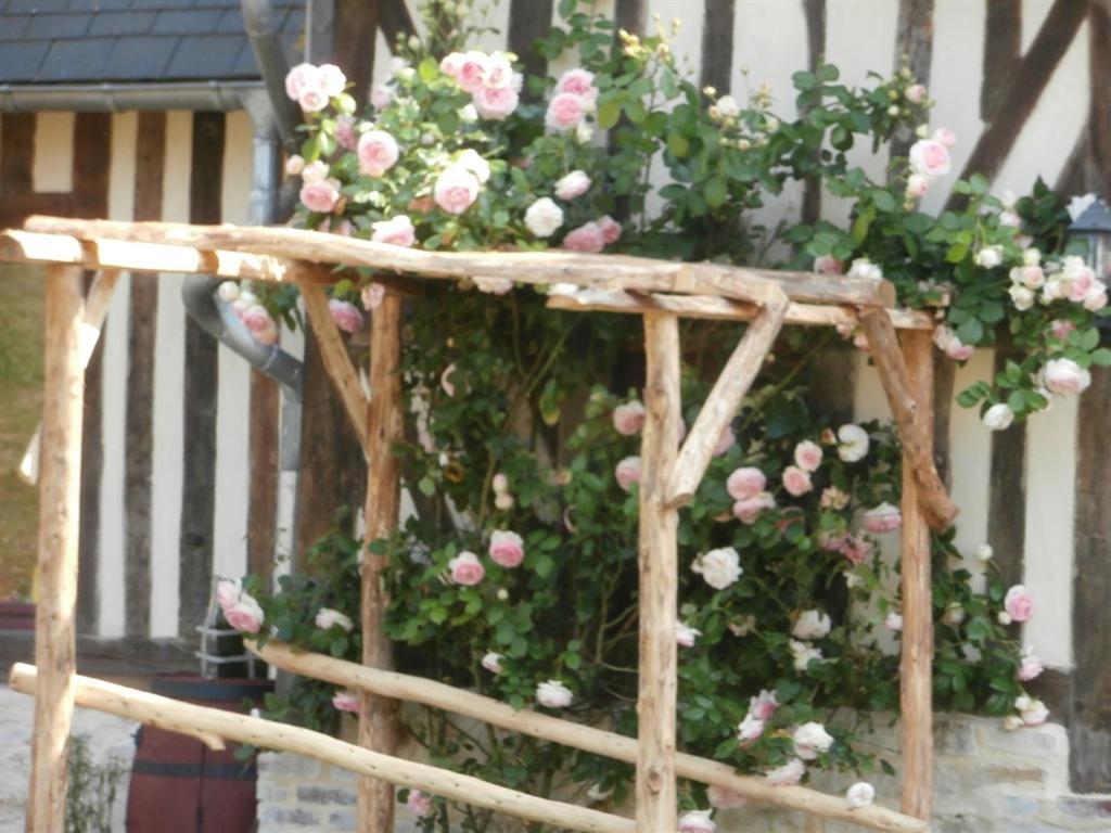 Les Chambres de Pontfol - Chambres d'hôtes - Guest house Victot-Pontfol Extérieur photo